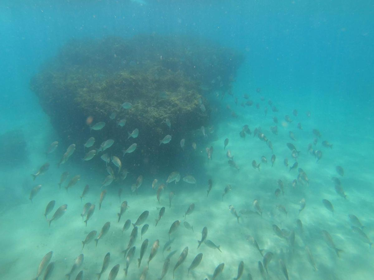 Lake St Lucia Lodge Bagian luar foto