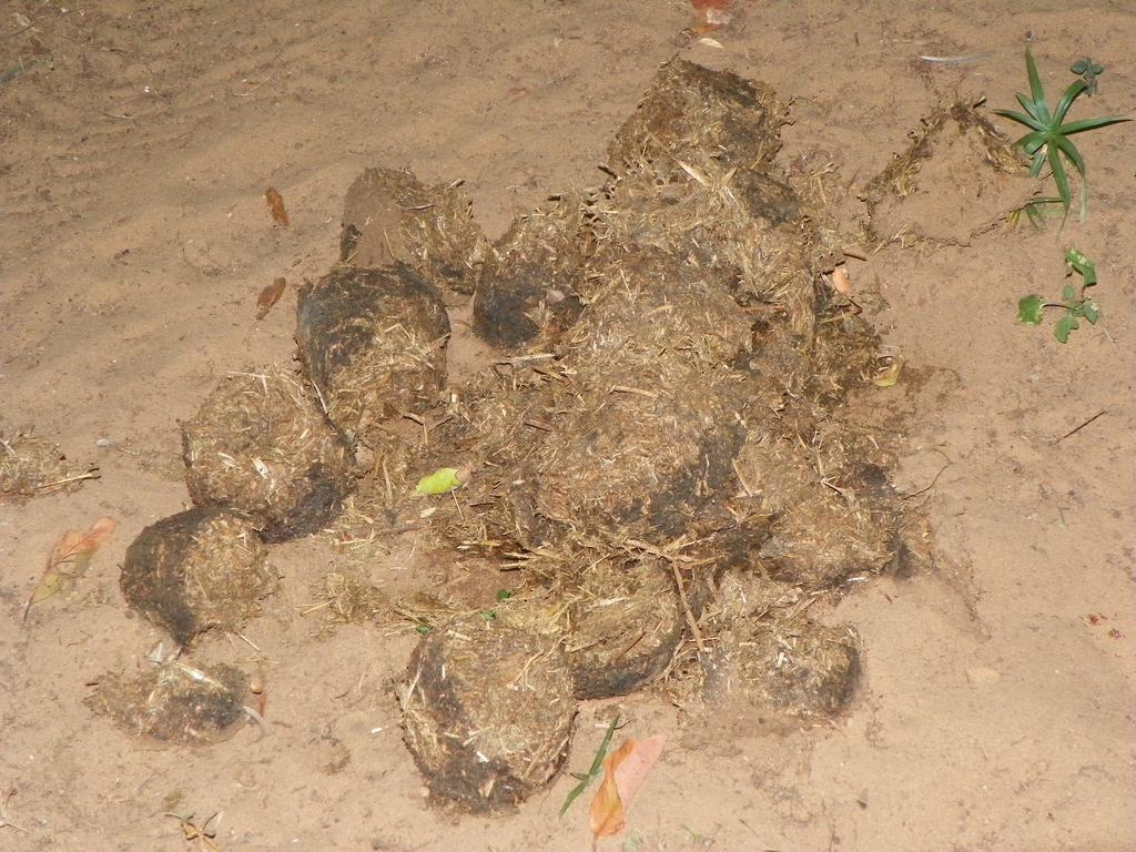 Lake St Lucia Lodge Bagian luar foto