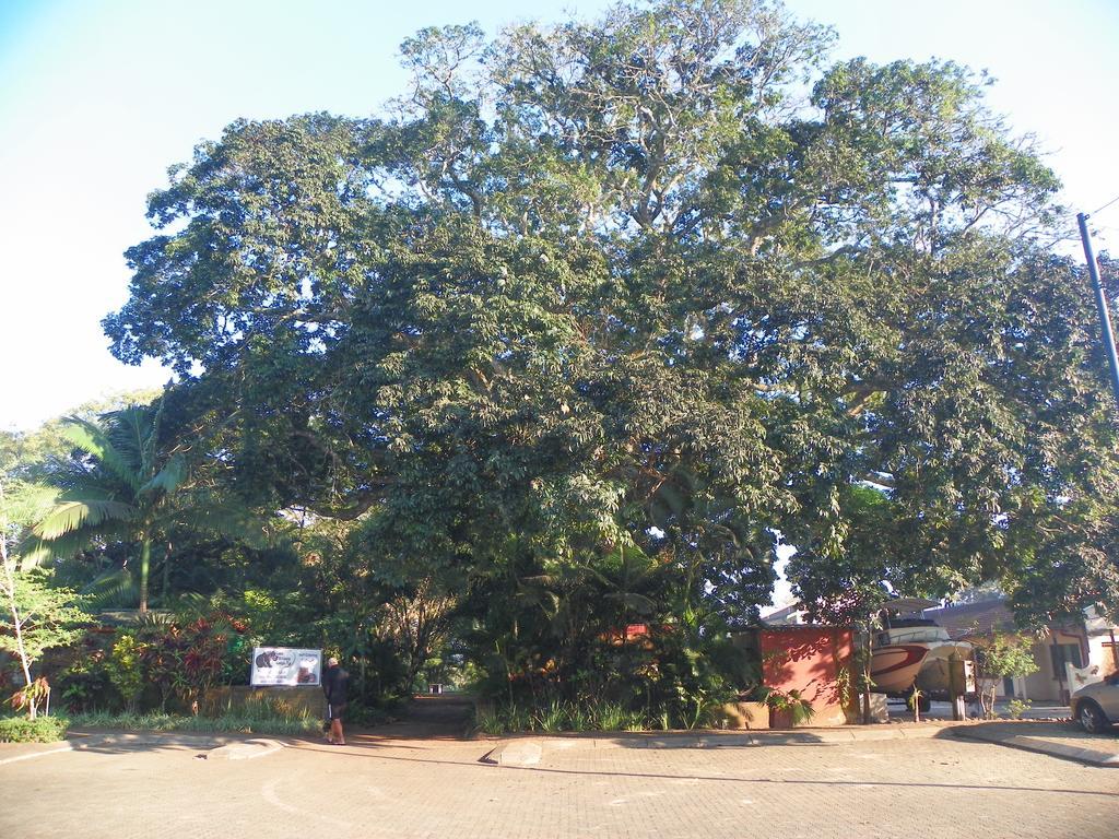 Lake St Lucia Lodge Bagian luar foto